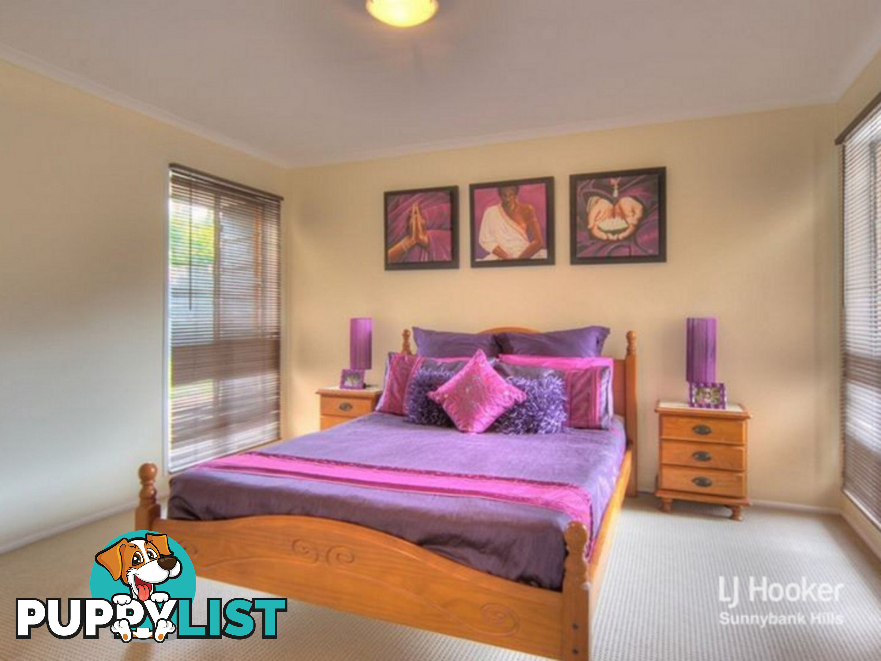 17 Maroona Street SUNNYBANK HILLS QLD 4109