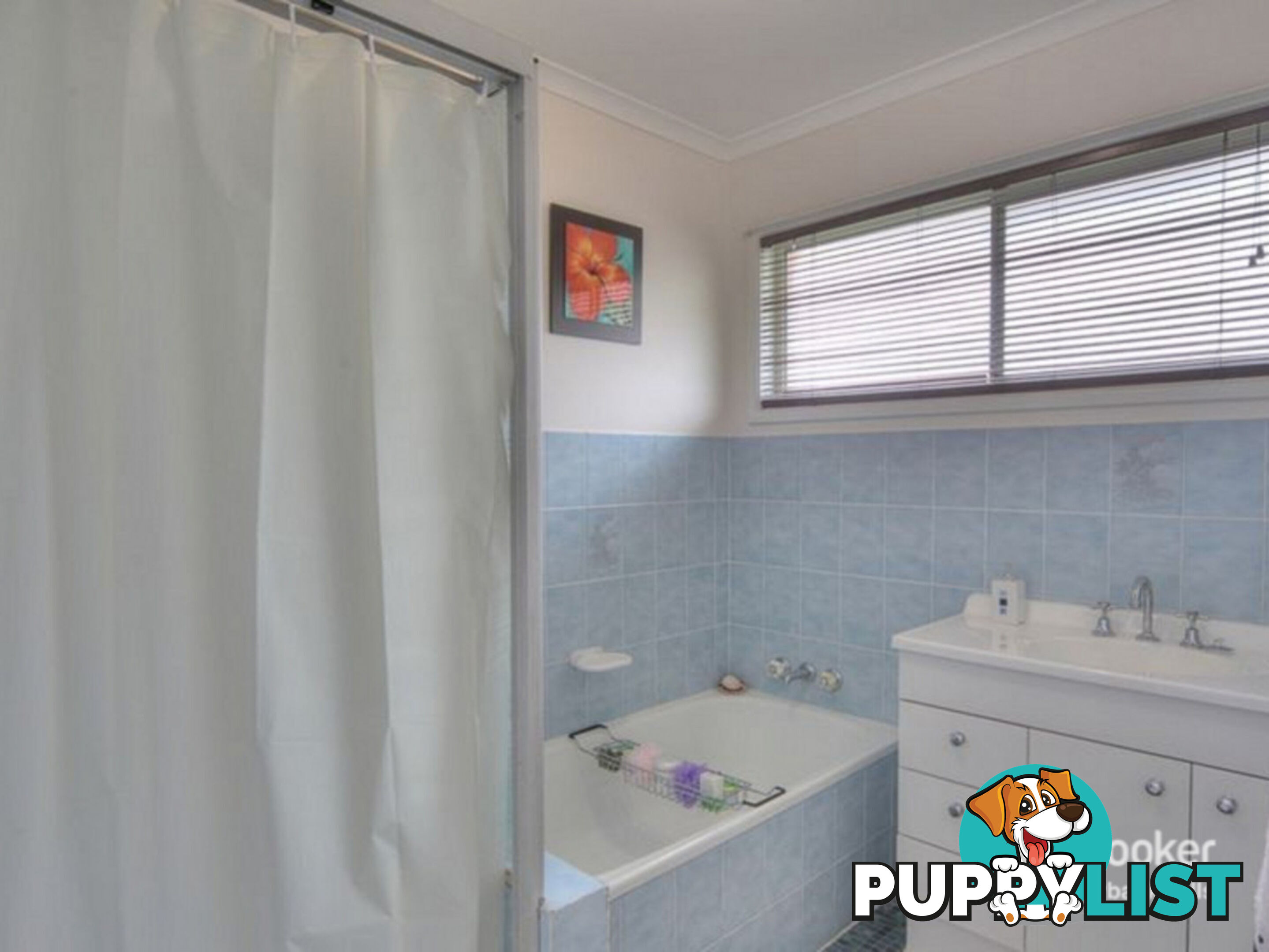 17 Maroona Street SUNNYBANK HILLS QLD 4109