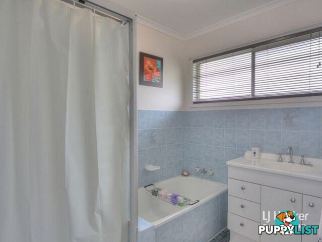 17 Maroona Street SUNNYBANK HILLS QLD 4109