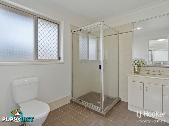 49 Caribbea Street EIGHT MILE PLAINS QLD 4113