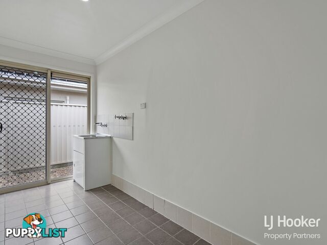 49 Caribbea Street EIGHT MILE PLAINS QLD 4113