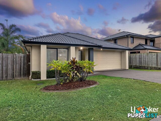 379 Benhiam Street CALAMVALE QLD 4116