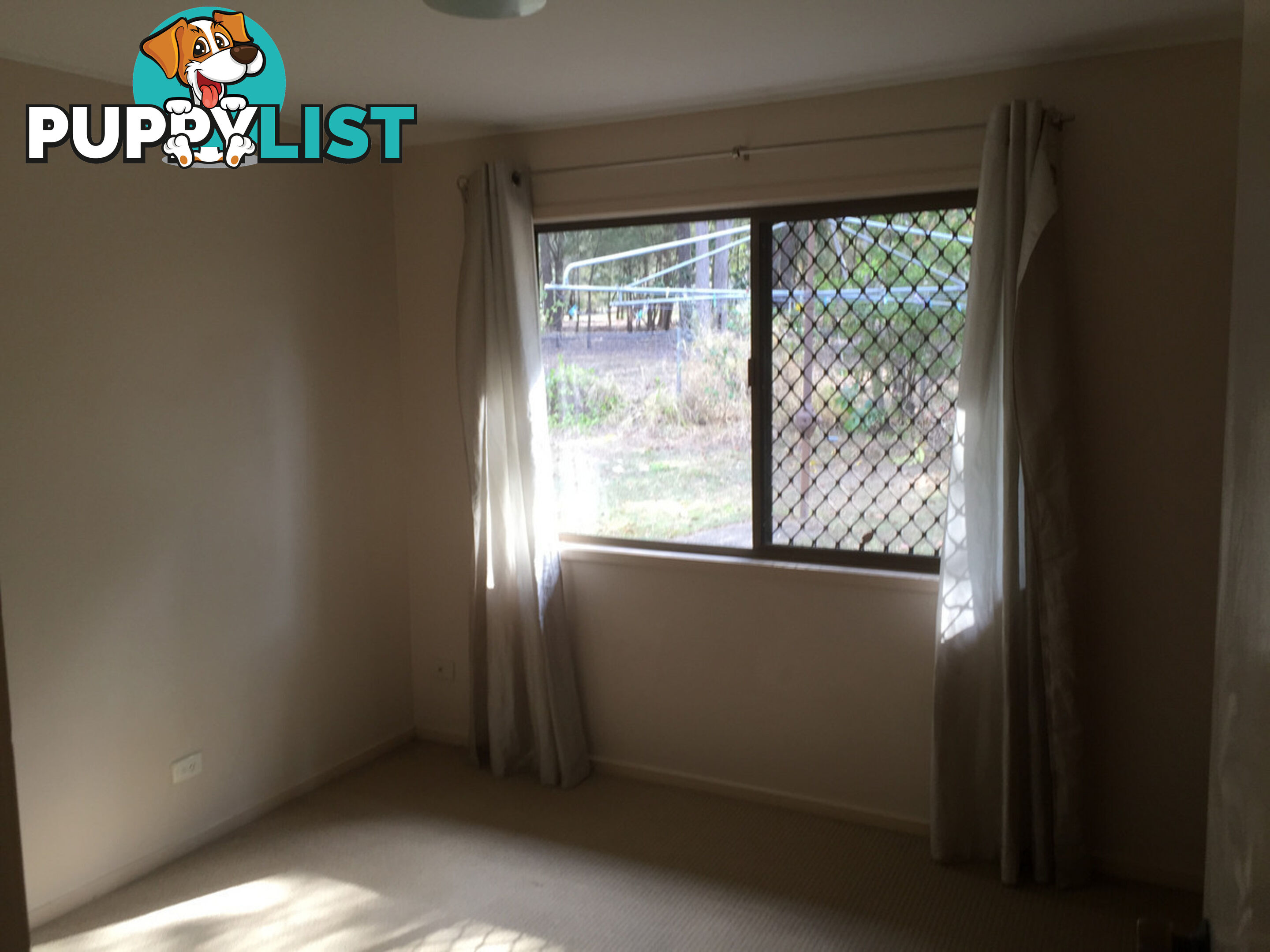 10 Gretel Street SUNNYBANK HILLS QLD 4109