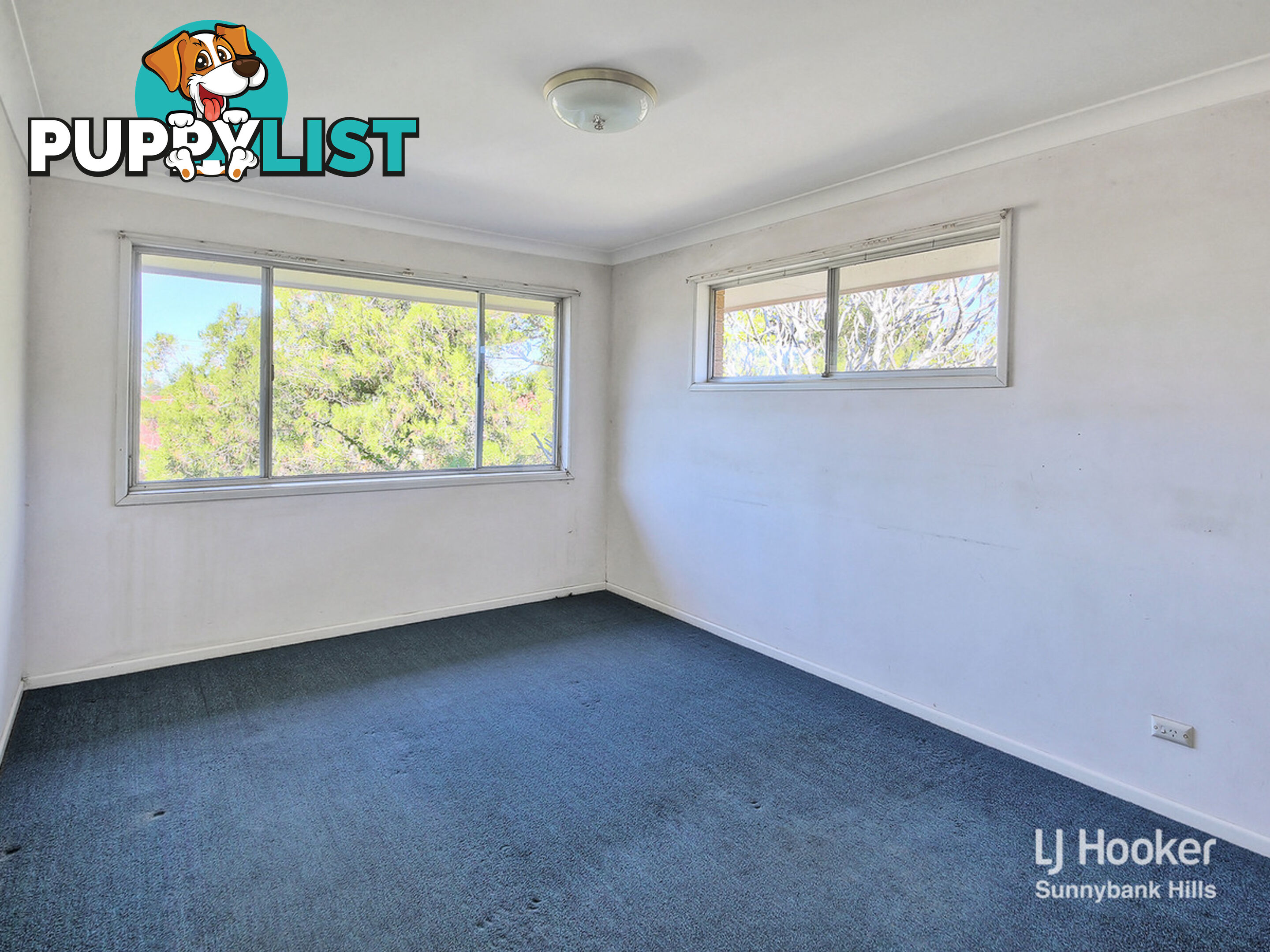 141 Granadilla Street MACGREGOR QLD 4109