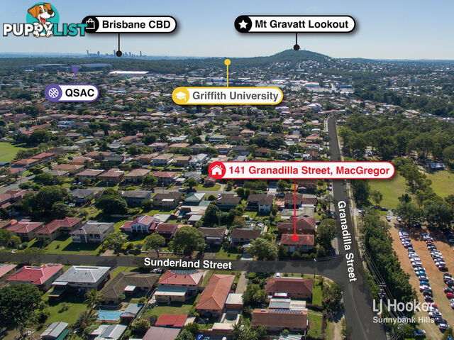 141 Granadilla Street MACGREGOR QLD 4109