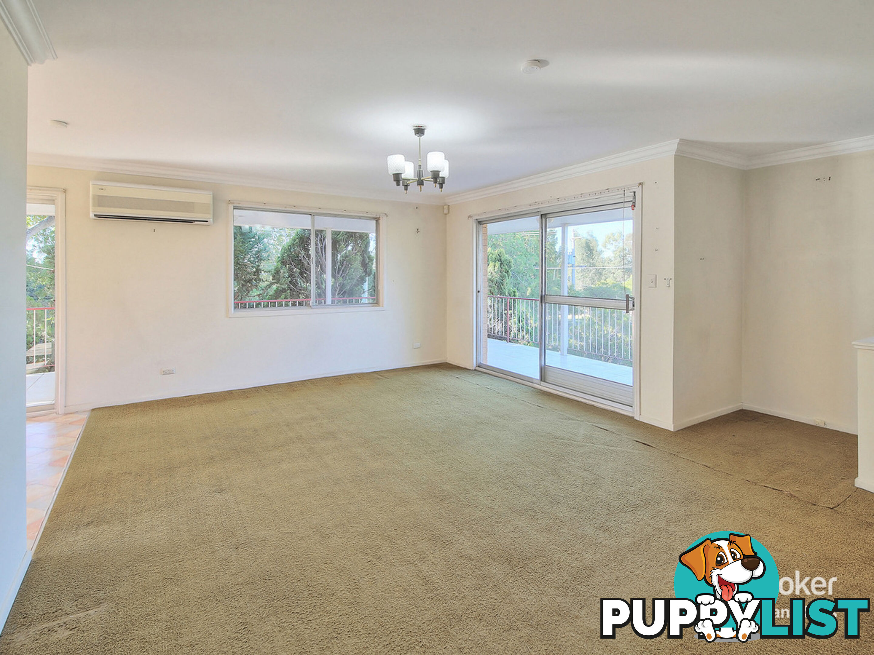 141 Granadilla Street MACGREGOR QLD 4109