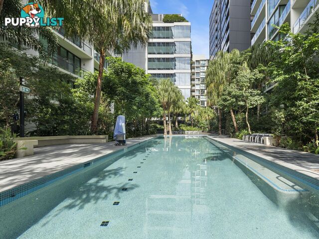 30510/24 Stratton Street NEWSTEAD QLD 4006