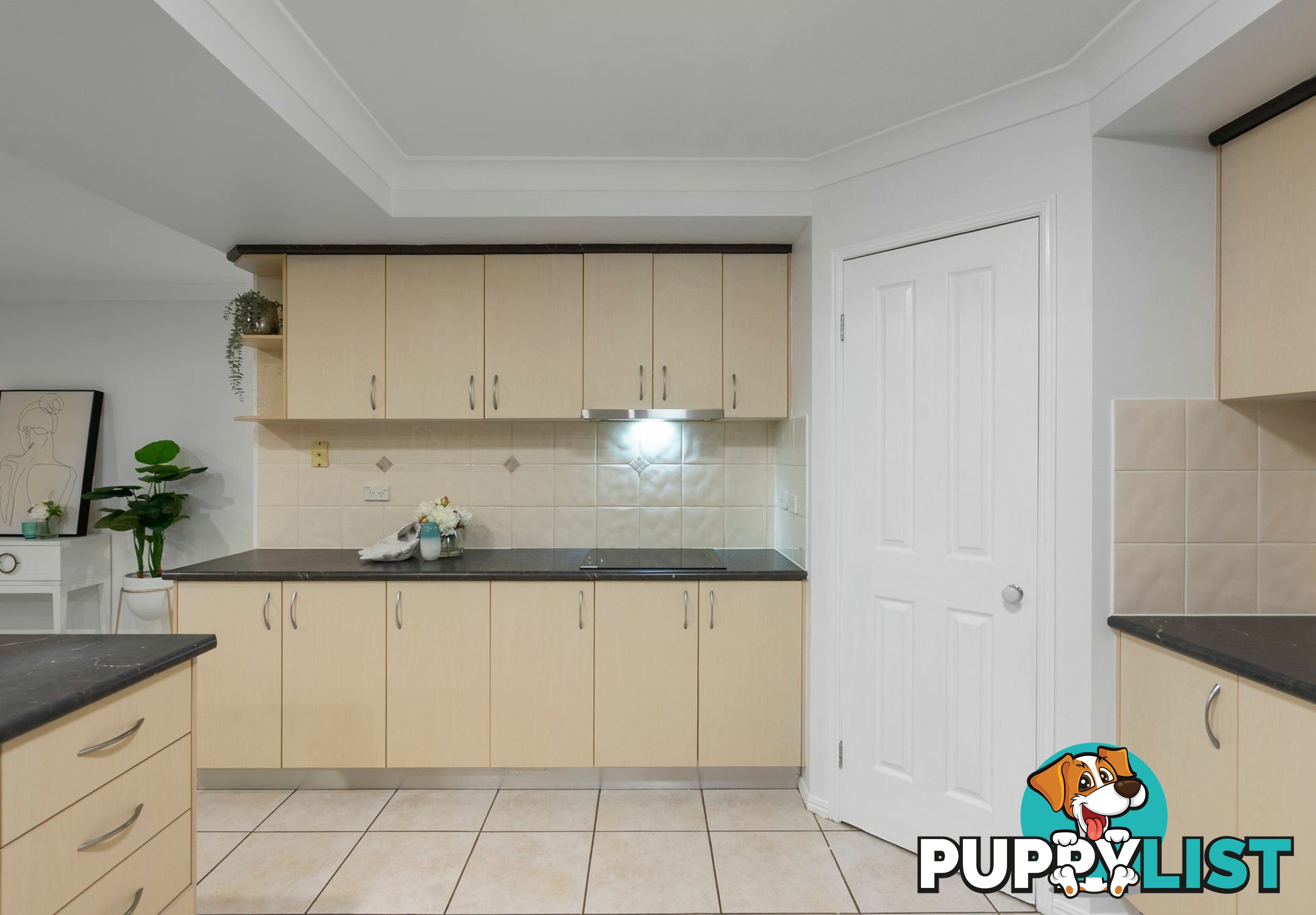 6 Shuttleworth Street KURABY QLD 4112