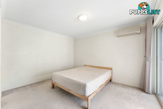 14 Tipuana Close CARINDALE QLD 4152