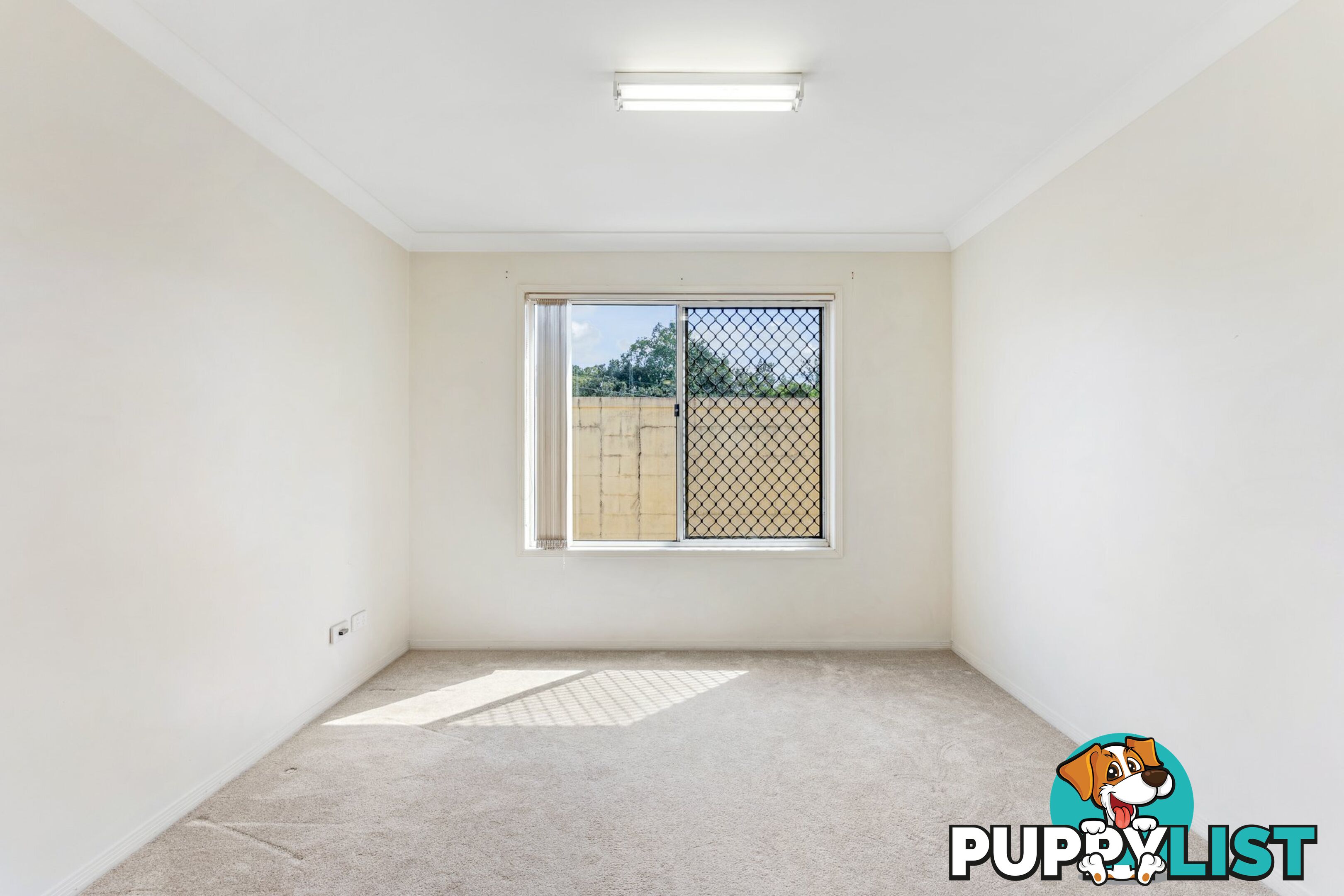 14 Tipuana Close CARINDALE QLD 4152