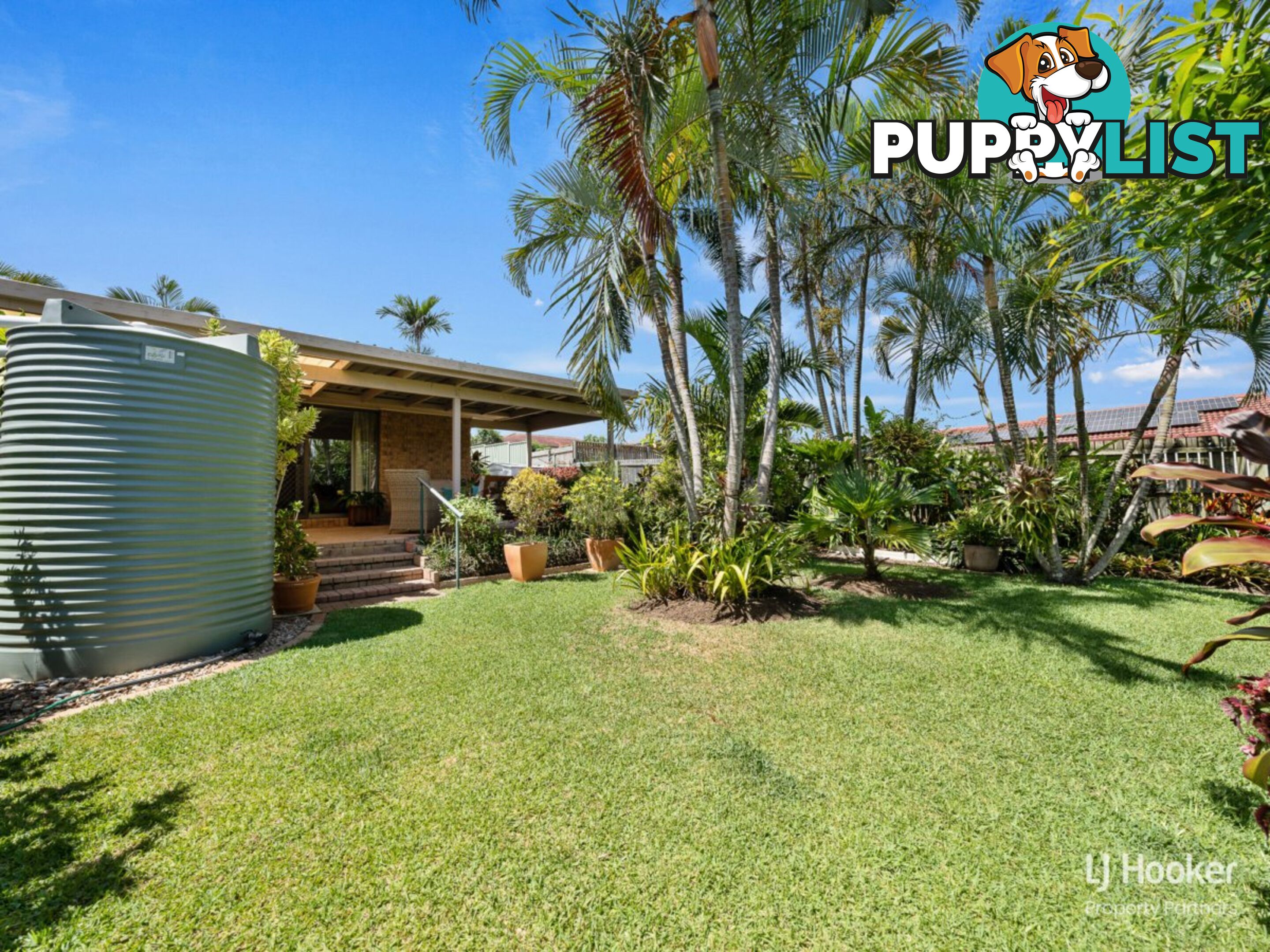 71 Helicia Street ALGESTER QLD 4115