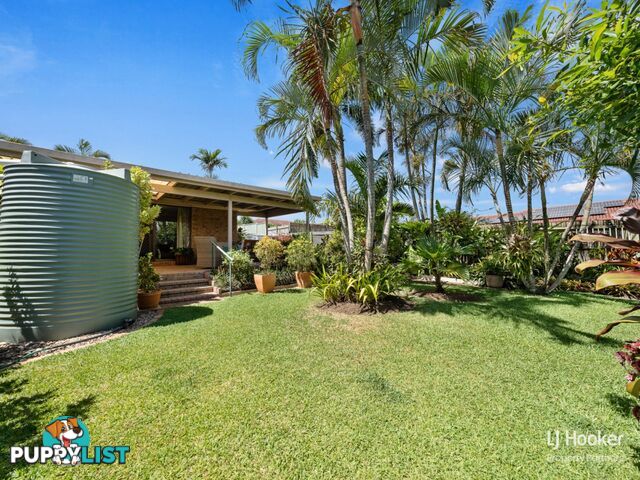 71 Helicia Street ALGESTER QLD 4115