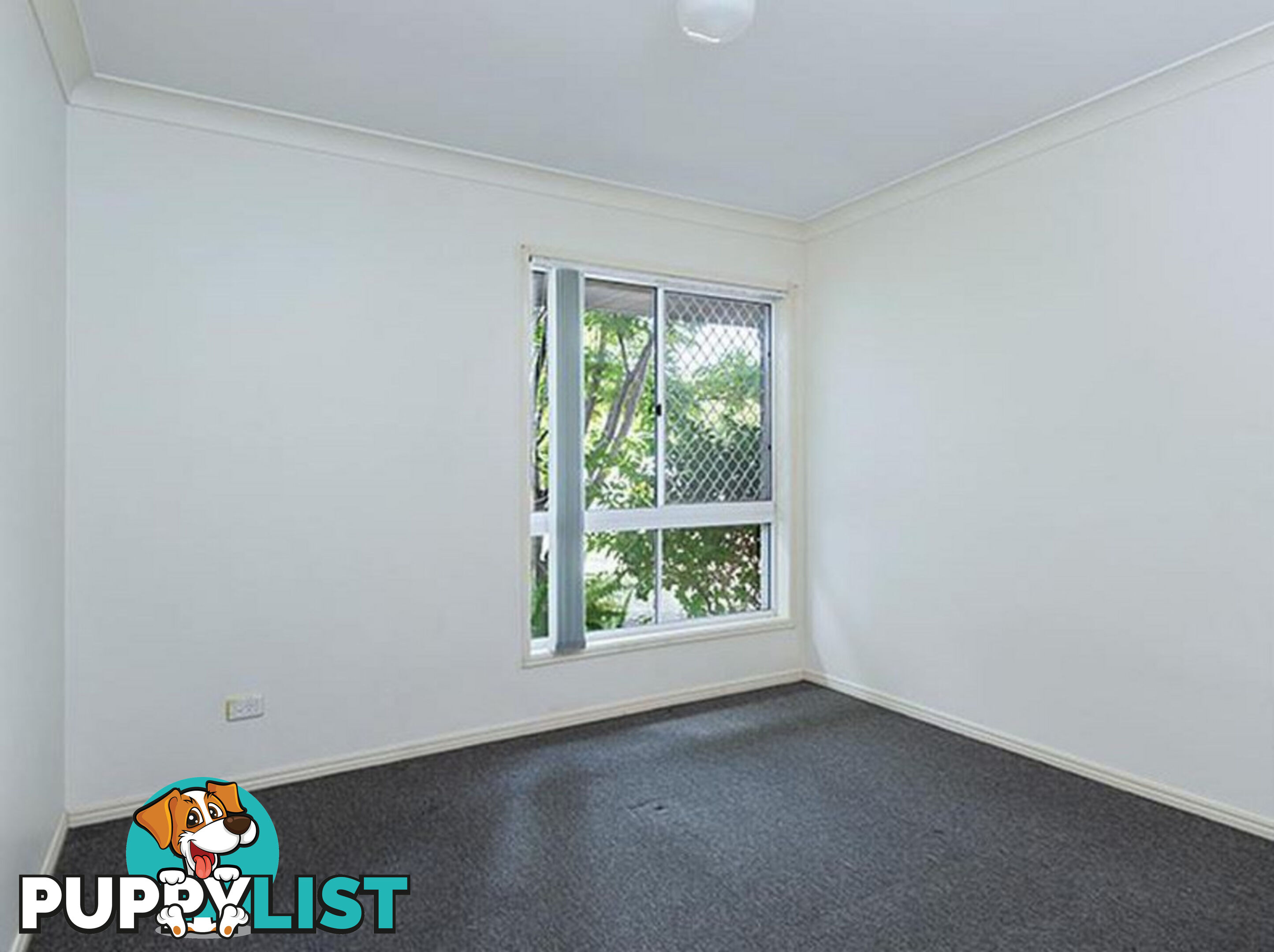 27 The Avenue SUNNYBANK HILLS QLD 4109