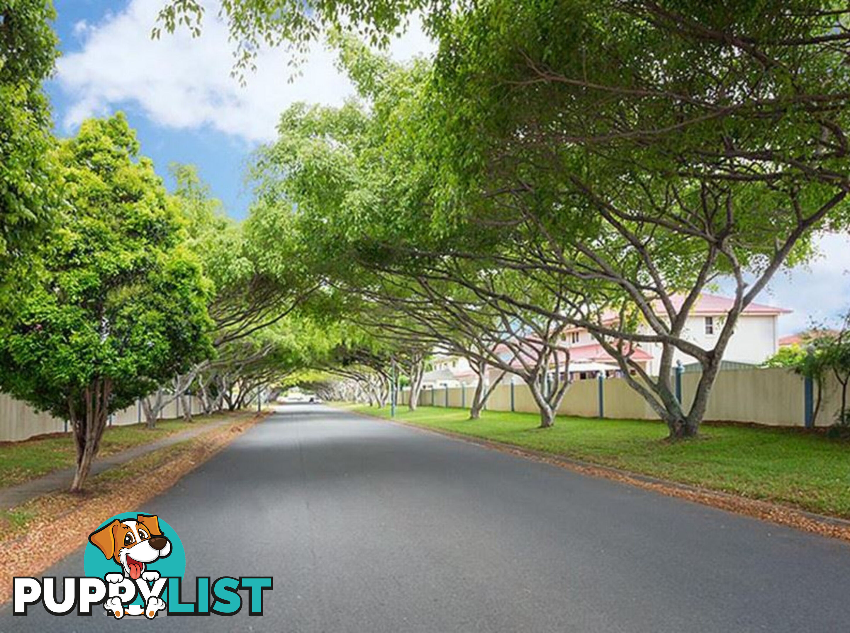 27 The Avenue SUNNYBANK HILLS QLD 4109