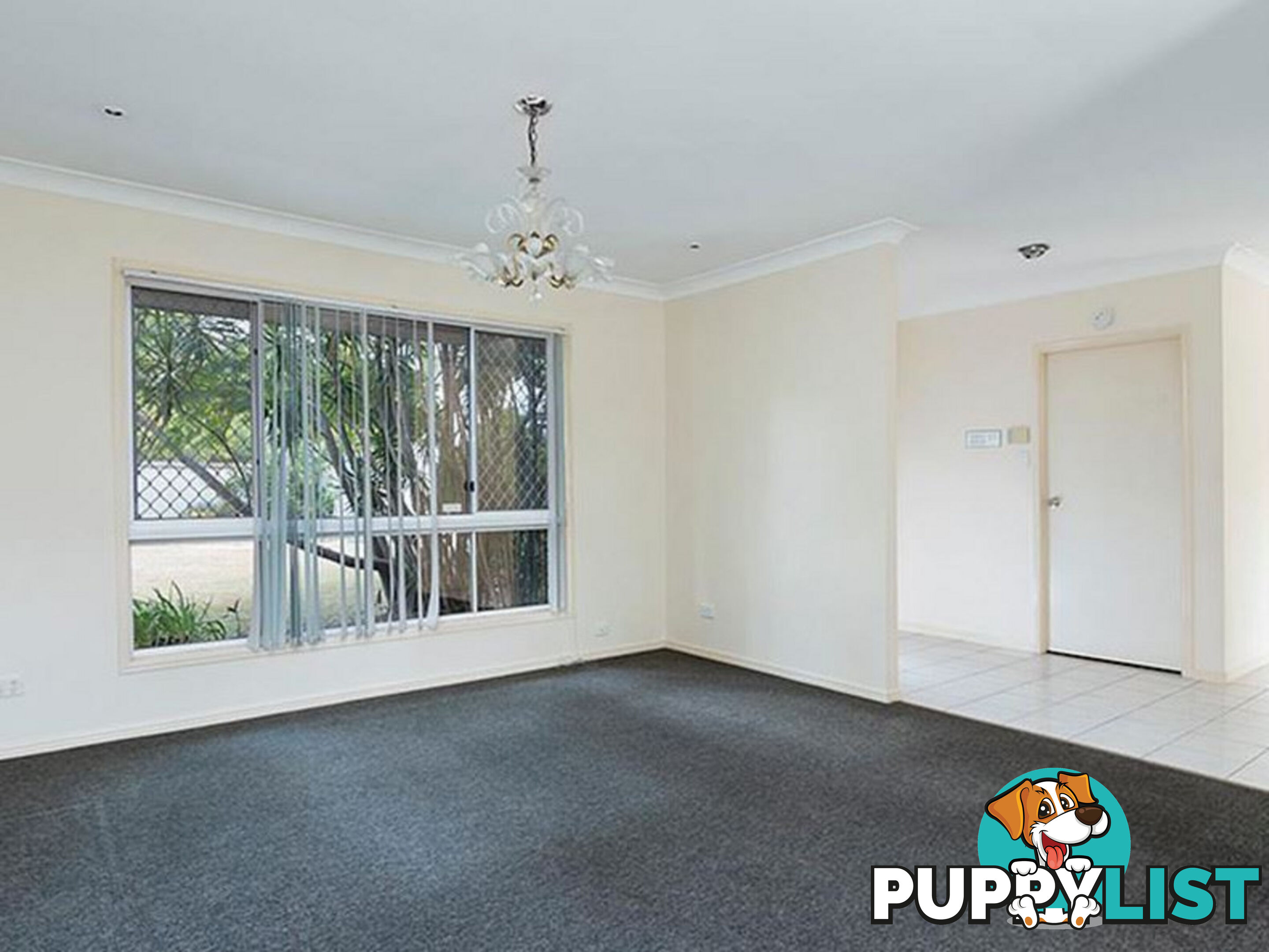 27 The Avenue SUNNYBANK HILLS QLD 4109