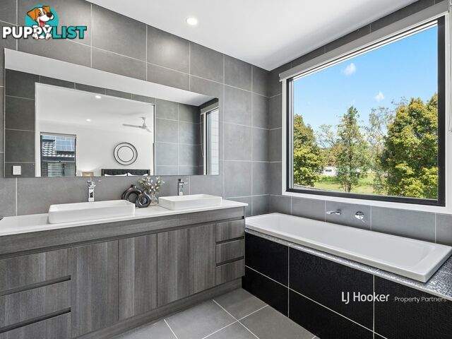 19 Sunnyside Street ALGESTER QLD 4115