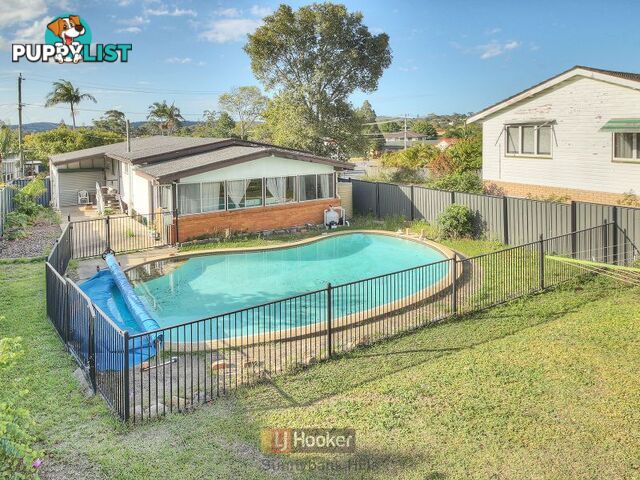 17 Kelceda Street SUNNYBANK HILLS QLD 4109