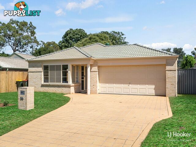 56 Solandra Crescent CALAMVALE QLD 4116