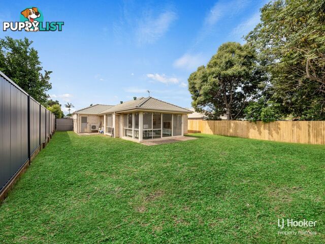 56 Solandra Crescent CALAMVALE QLD 4116