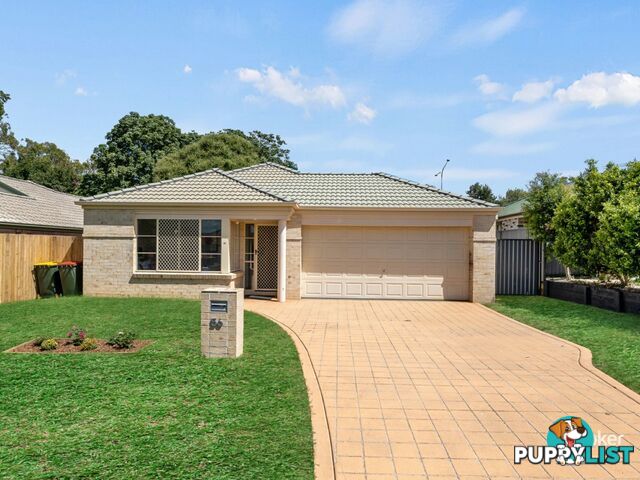 56 Solandra Crescent CALAMVALE QLD 4116