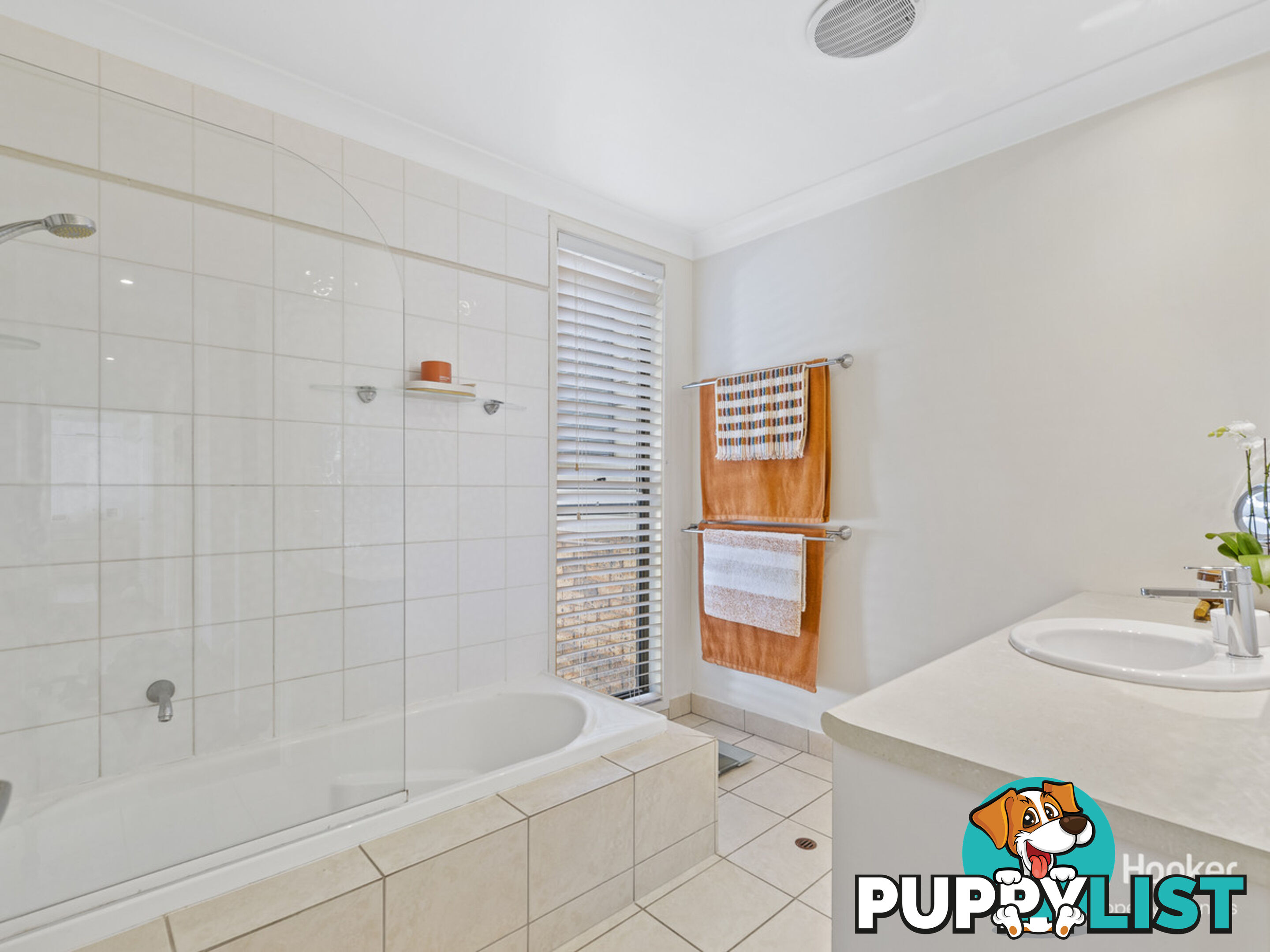 11 Bridelia Street ALGESTER QLD 4115