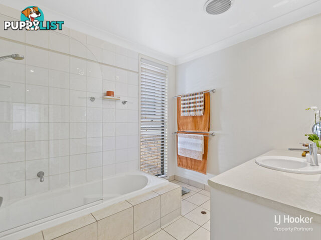 11 Bridelia Street ALGESTER QLD 4115