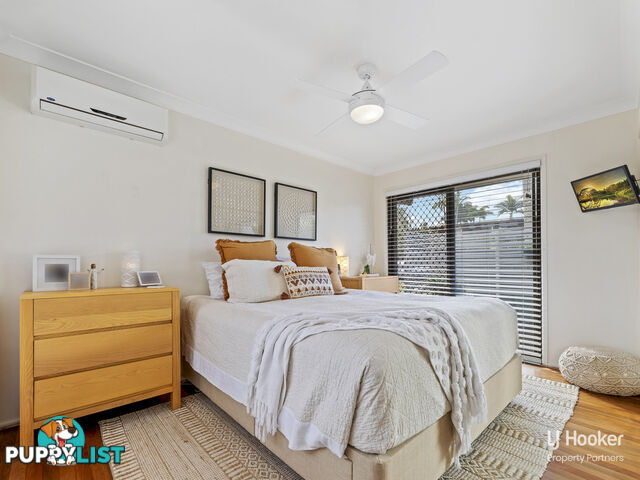 11 Bridelia Street ALGESTER QLD 4115