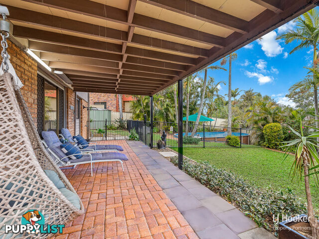 11 Bridelia Street ALGESTER QLD 4115