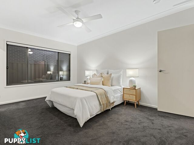 19 Erathema Place COOPERS PLAINS QLD 4108