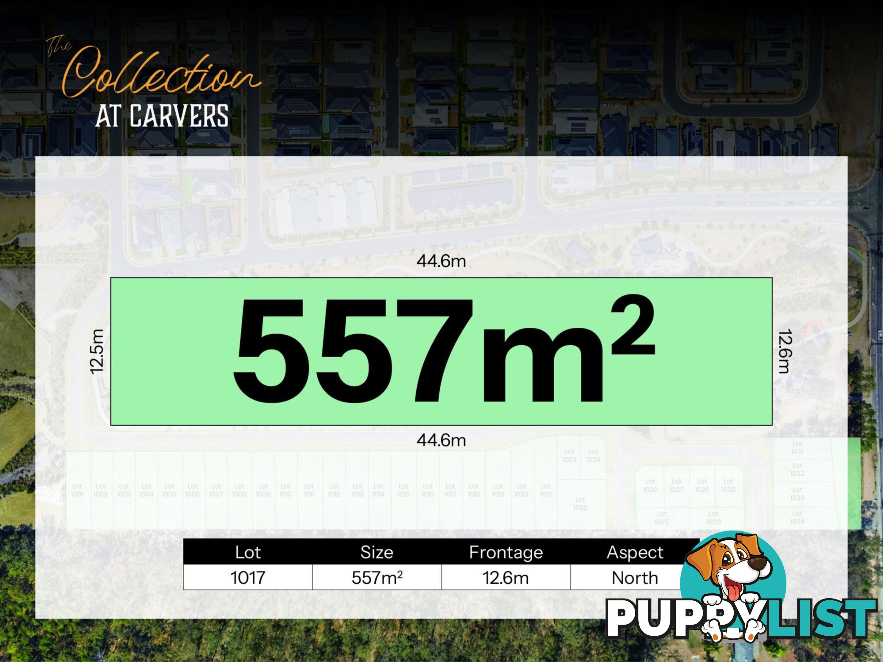 Lot 1017 Carvers Way PARK RIDGE QLD 4125