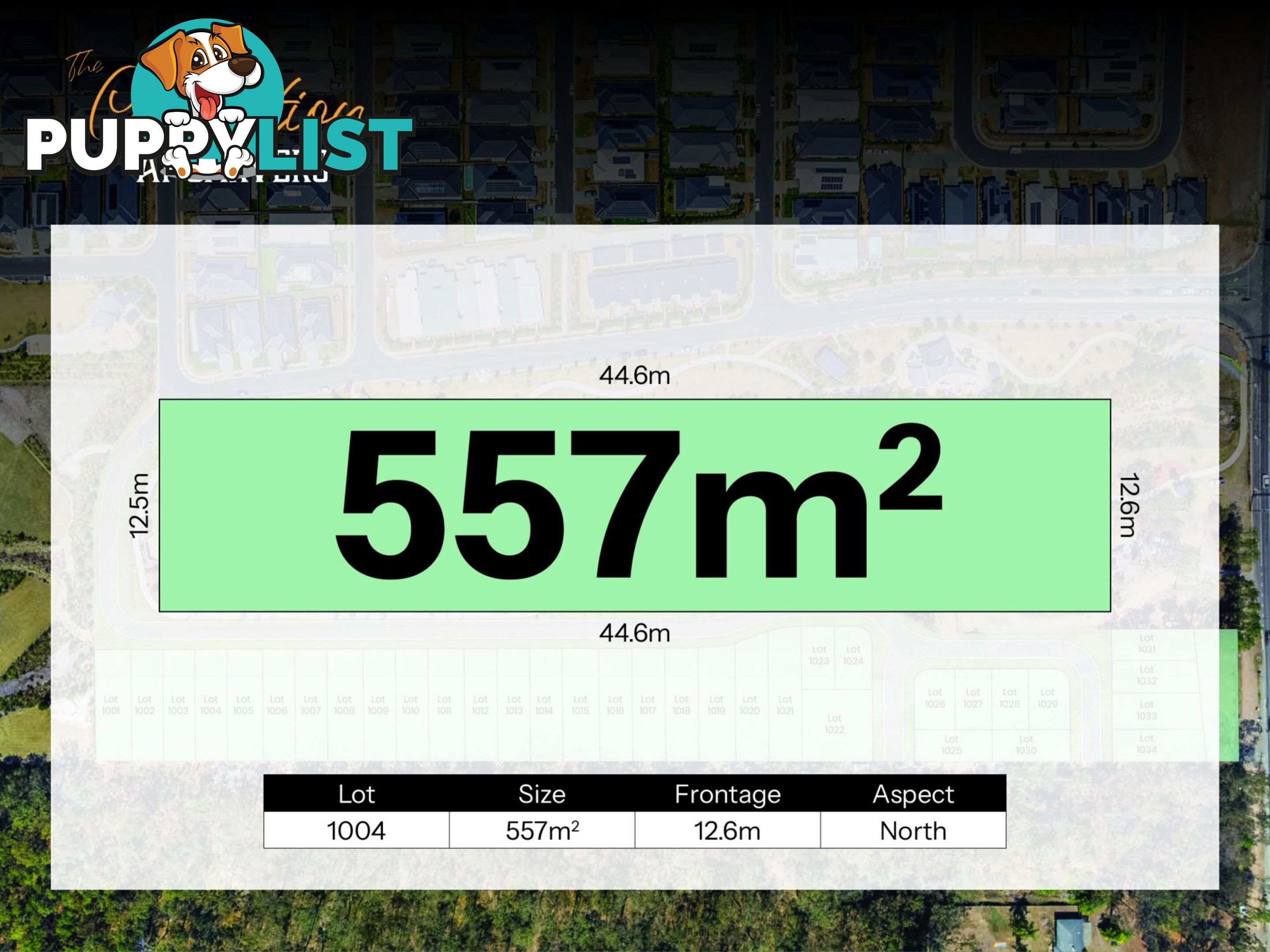 Lot 1017 Carvers Way PARK RIDGE QLD 4125