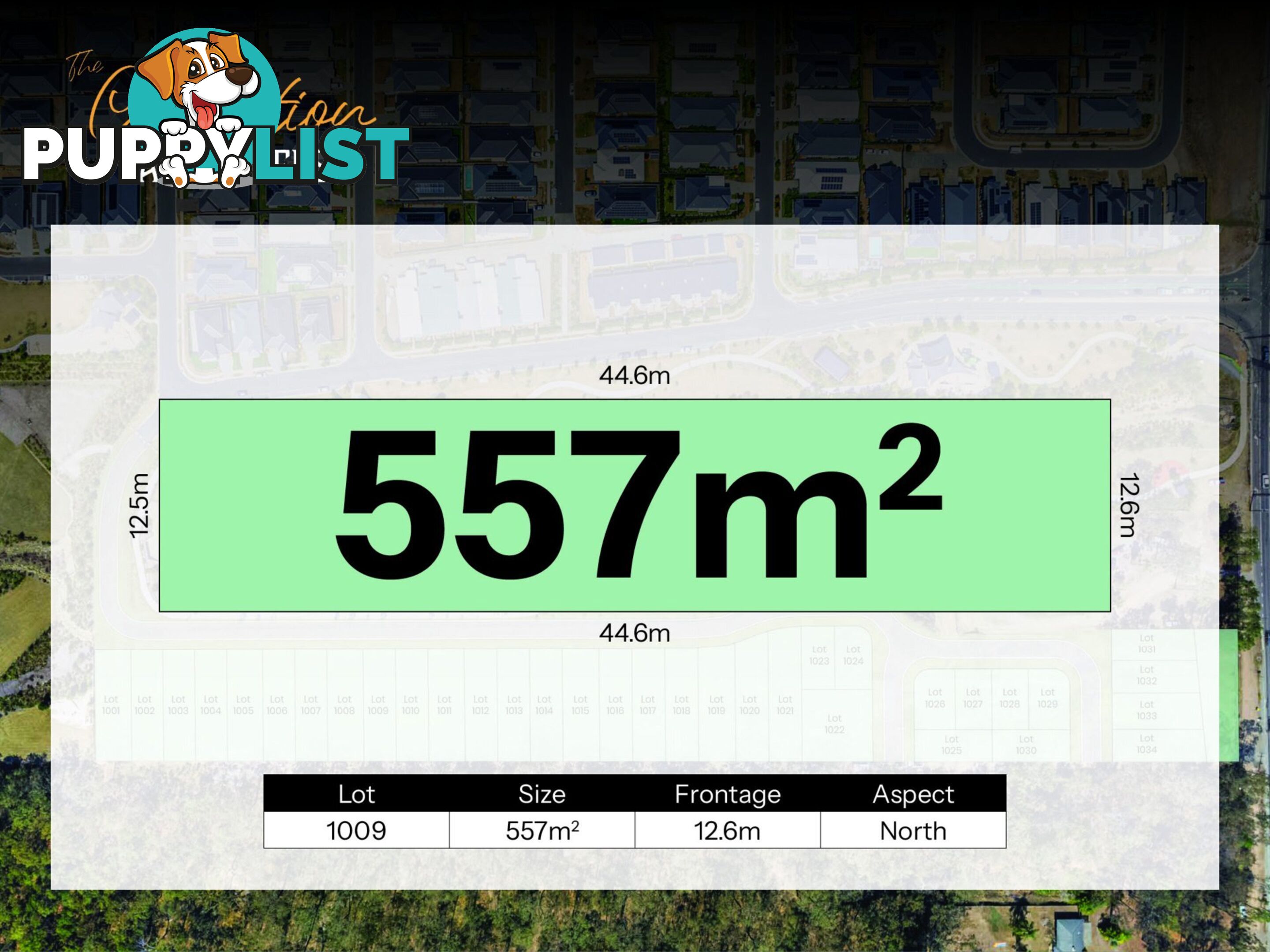Lot 1017 Carvers Way PARK RIDGE QLD 4125