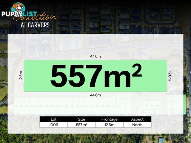 Lot 1017 Carvers Way PARK RIDGE QLD 4125