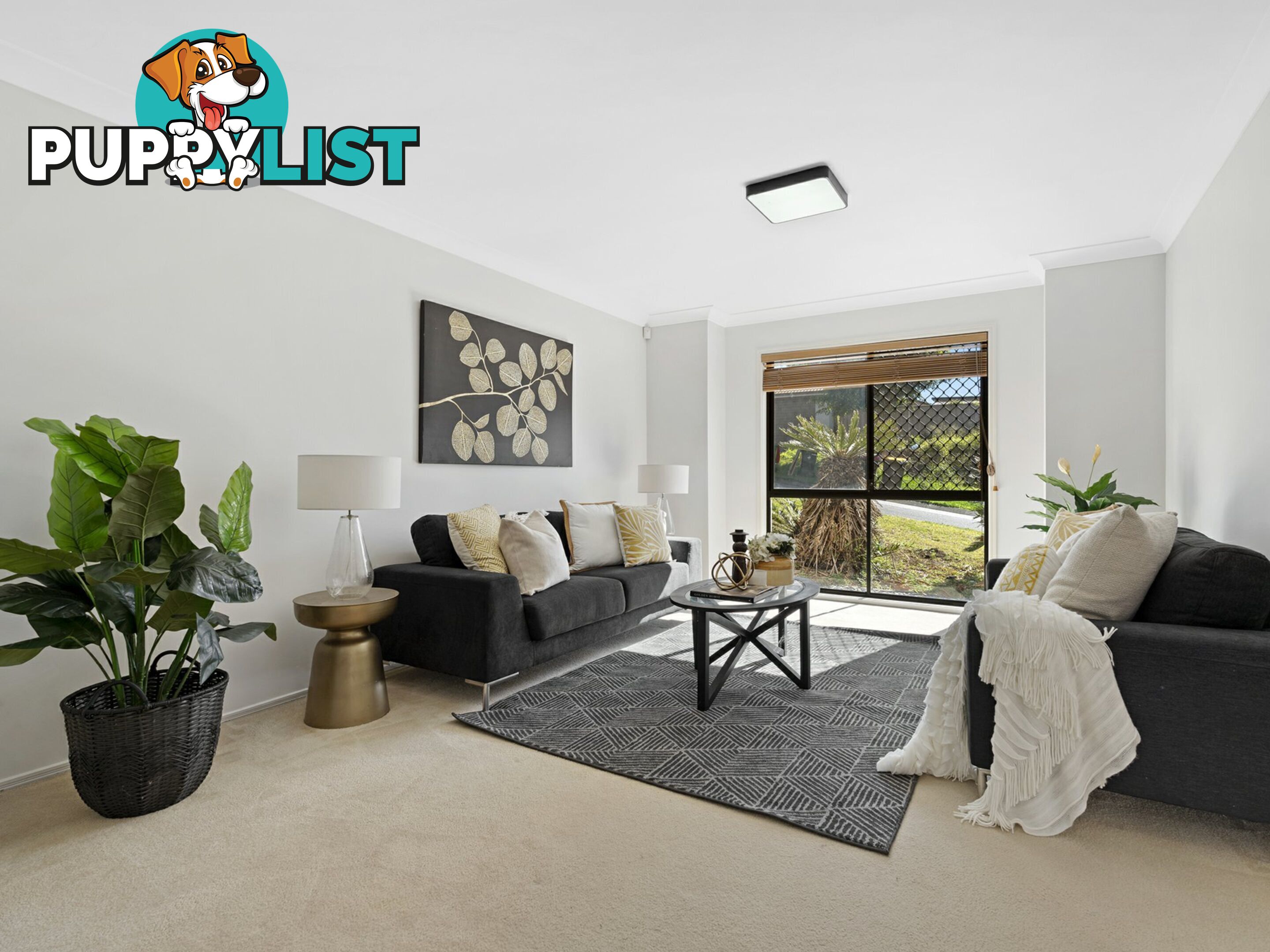21 Yvonne Road EIGHT MILE PLAINS QLD 4113