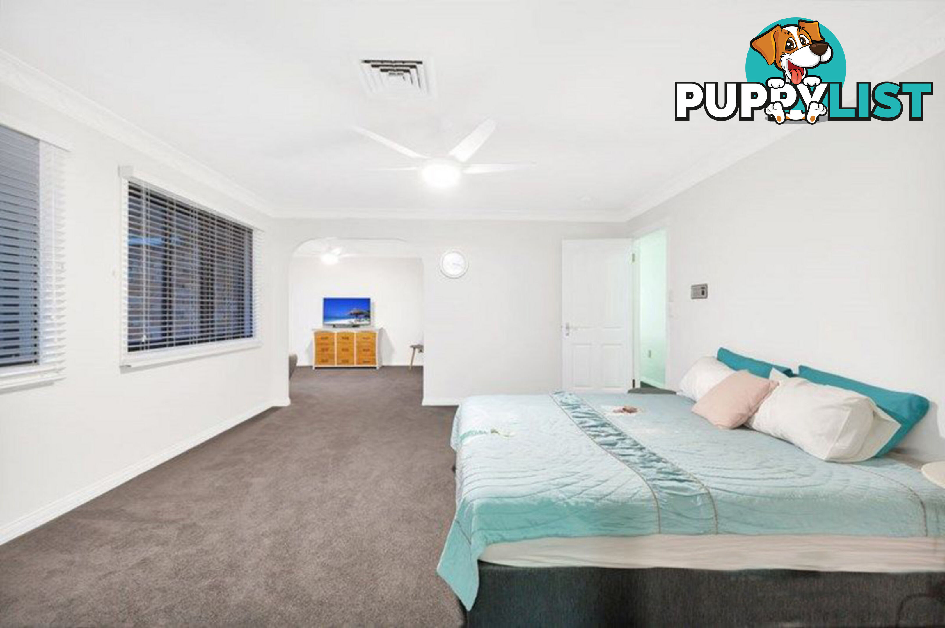 16 Noelana Street SUNNYBANK HILLS QLD 4109