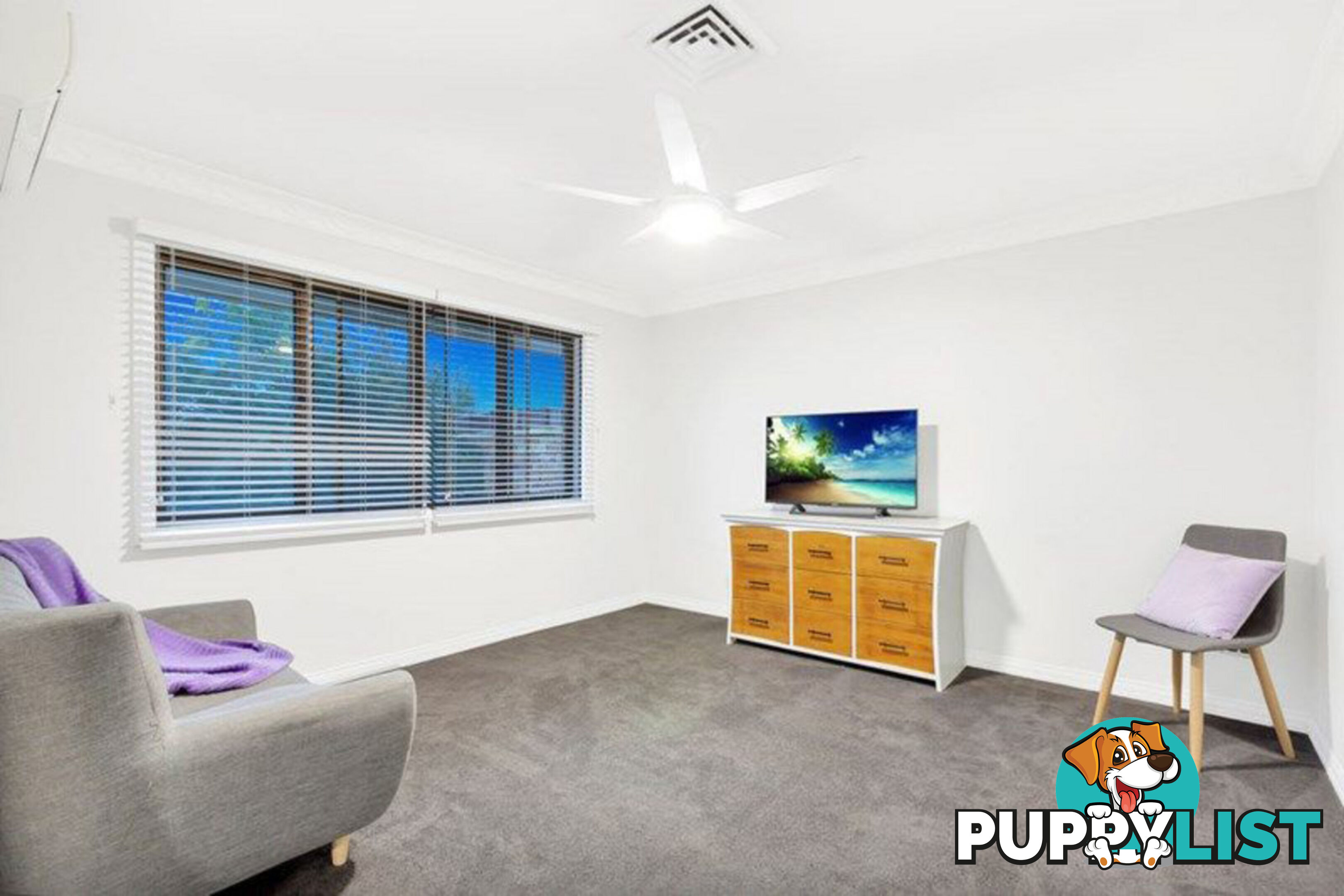 16 Noelana Street SUNNYBANK HILLS QLD 4109