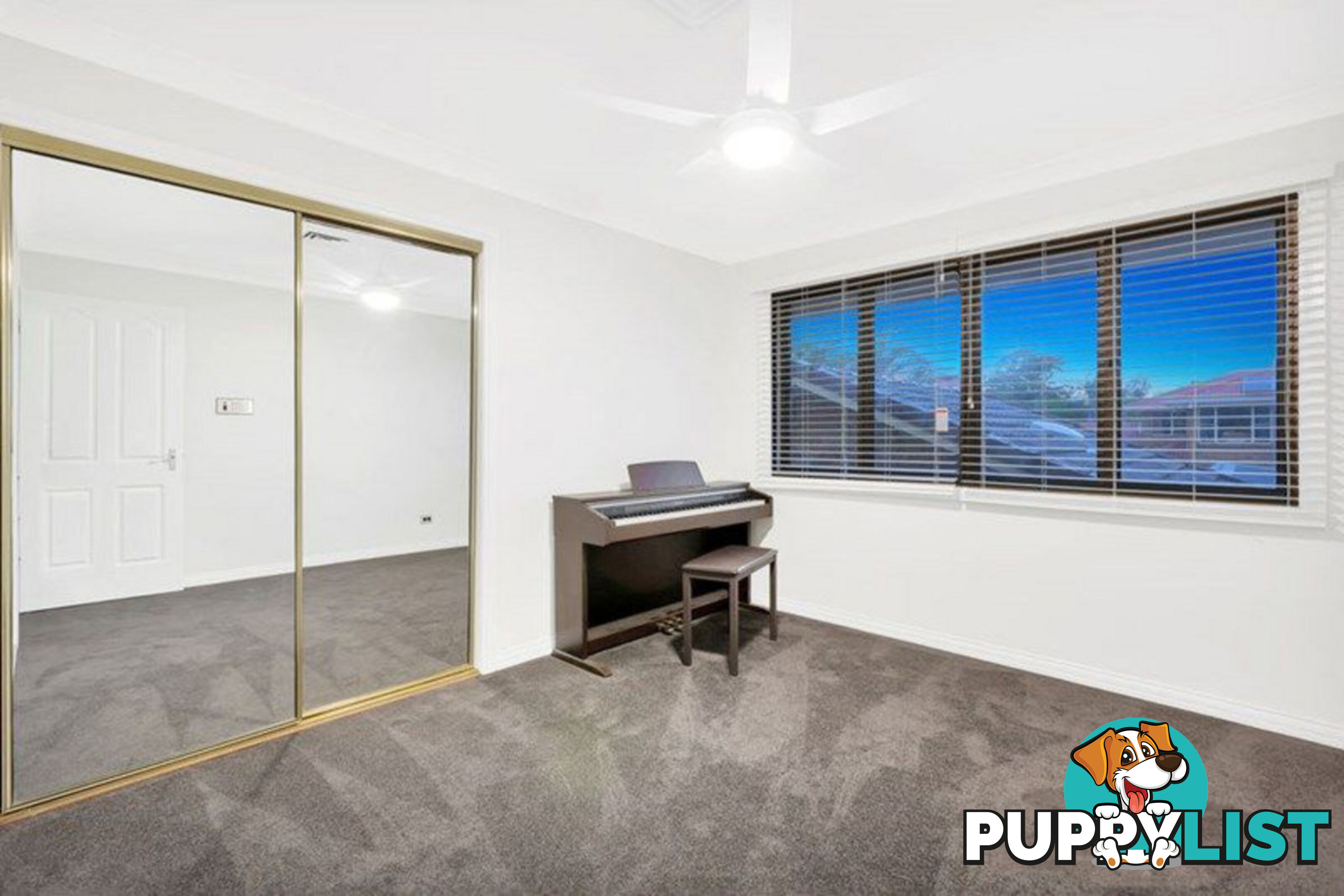 16 Noelana Street SUNNYBANK HILLS QLD 4109