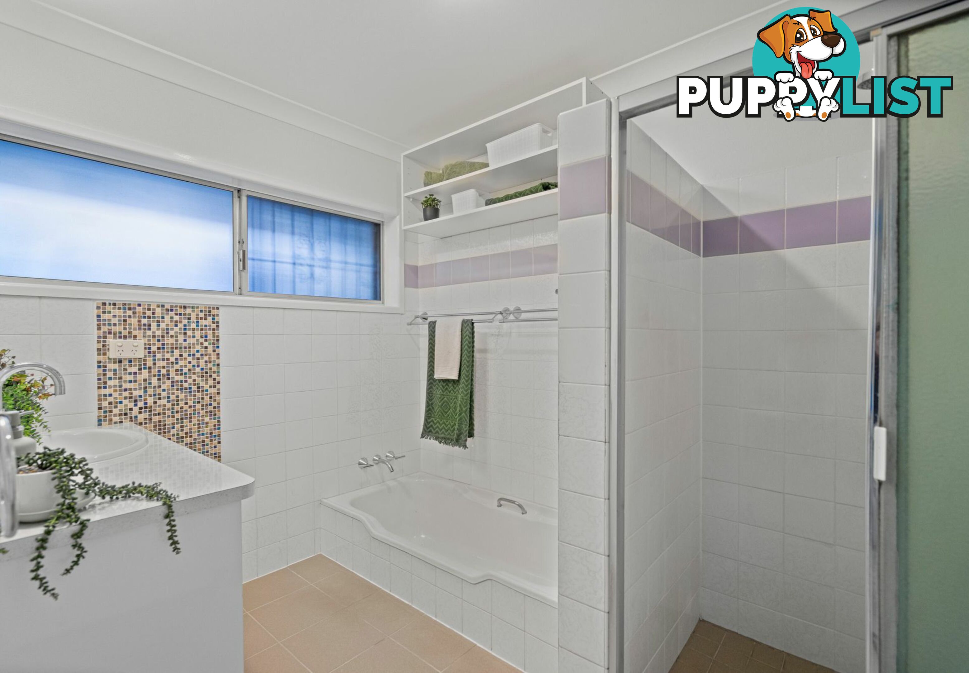 14 Bluebell Street MANSFIELD QLD 4122