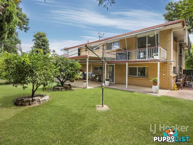 18 Cupania Street ALGESTER QLD 4115