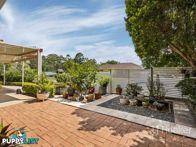 18 Cupania Street ALGESTER QLD 4115