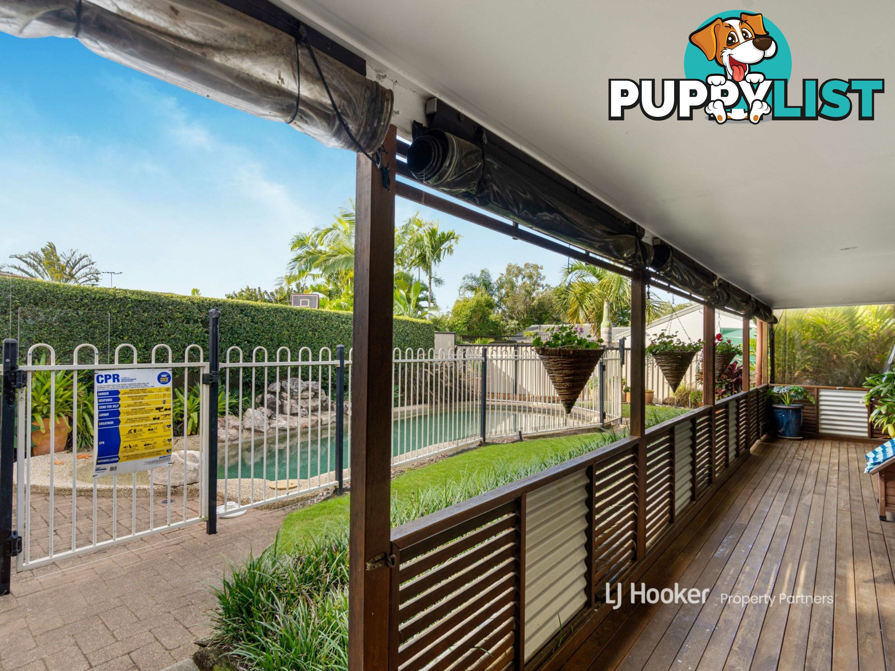 3 Zinnia Court RUNCORN QLD 4113