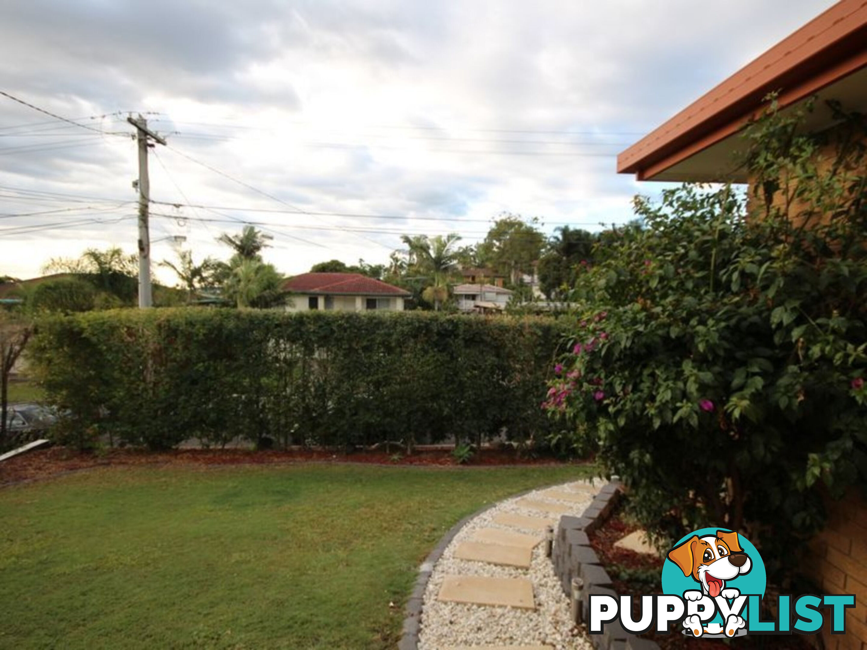 20 Cranfield Street SUNNYBANK HILLS QLD 4109