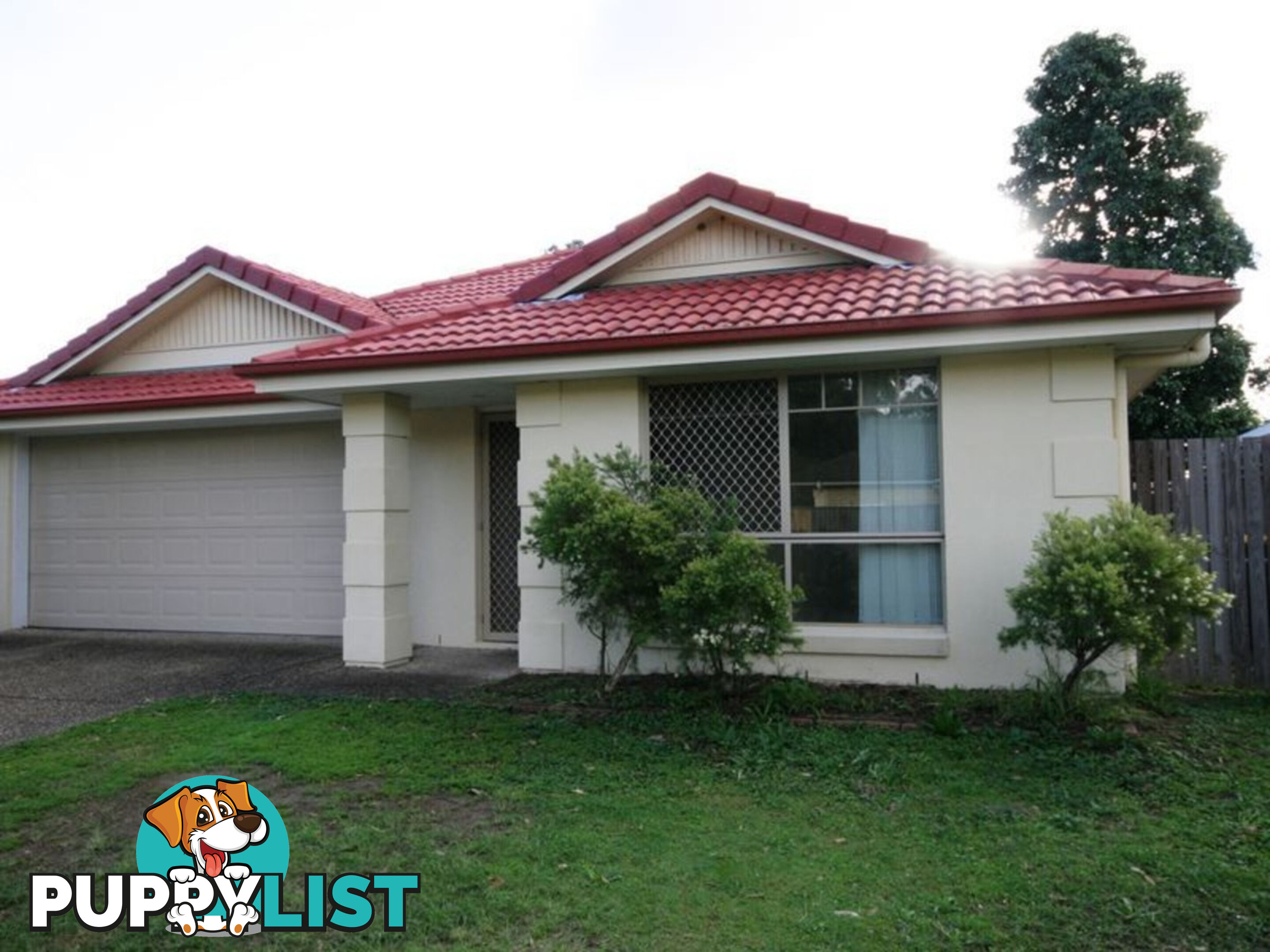 3 Sheoak Court SUNNYBANK HILLS QLD 4109