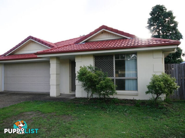 3 Sheoak Court SUNNYBANK HILLS QLD 4109