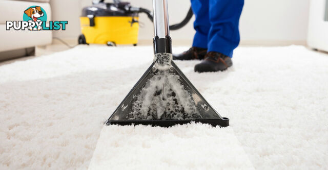 Carpet Cleaning & Stain Removal Specialist, Kennington, VIC