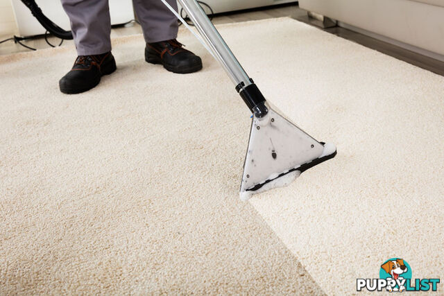 Carpet Cleaning & Stain Removal Specialist, Bendigo, VIC