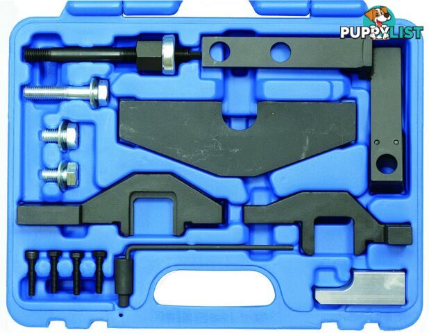 BGS Germany BMW MINI Engine Camshaft Cam Lock Valve Timing Tool Kit W10 W11 N14