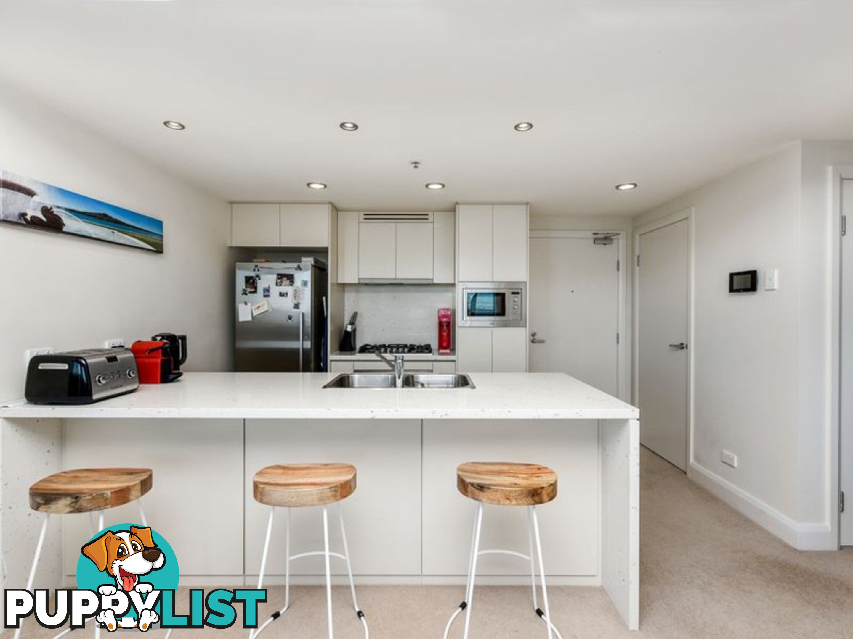 1507/46 Walker Street RHODES NSW 2138