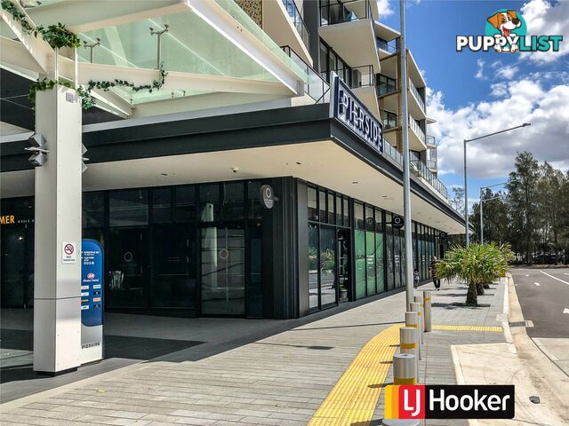 Level 8 & 21/11 Wentworth Place WENTWORTH POINT NSW 2127