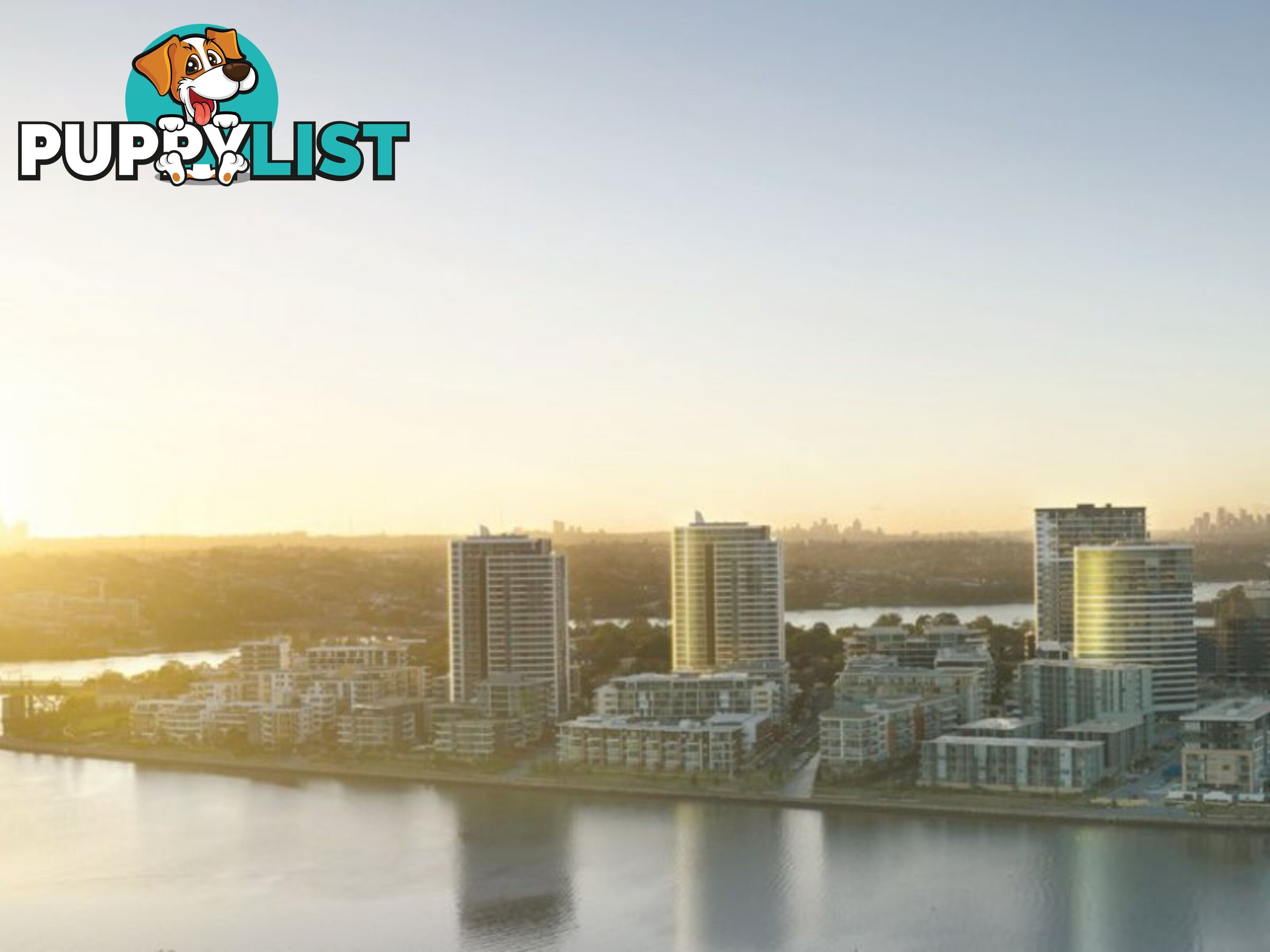 Level 8 & 21/11 Wentworth Place WENTWORTH POINT NSW 2127
